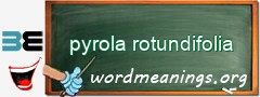 WordMeaning blackboard for pyrola rotundifolia